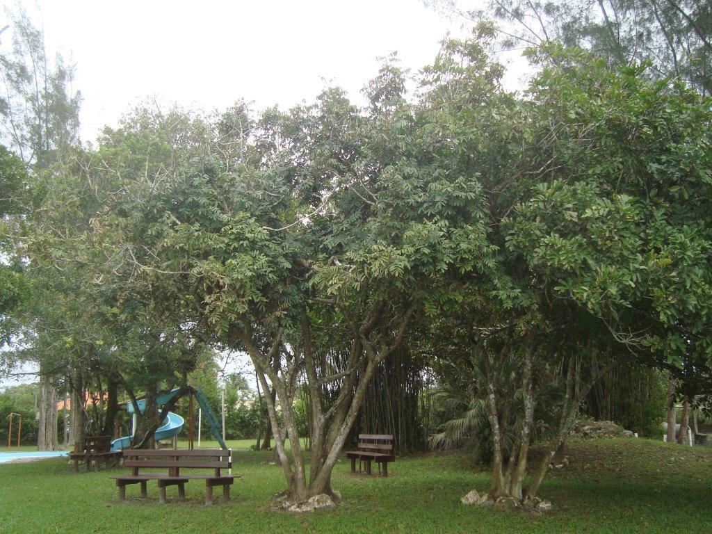 Sambura Chales Ilha Comprida Exterior foto